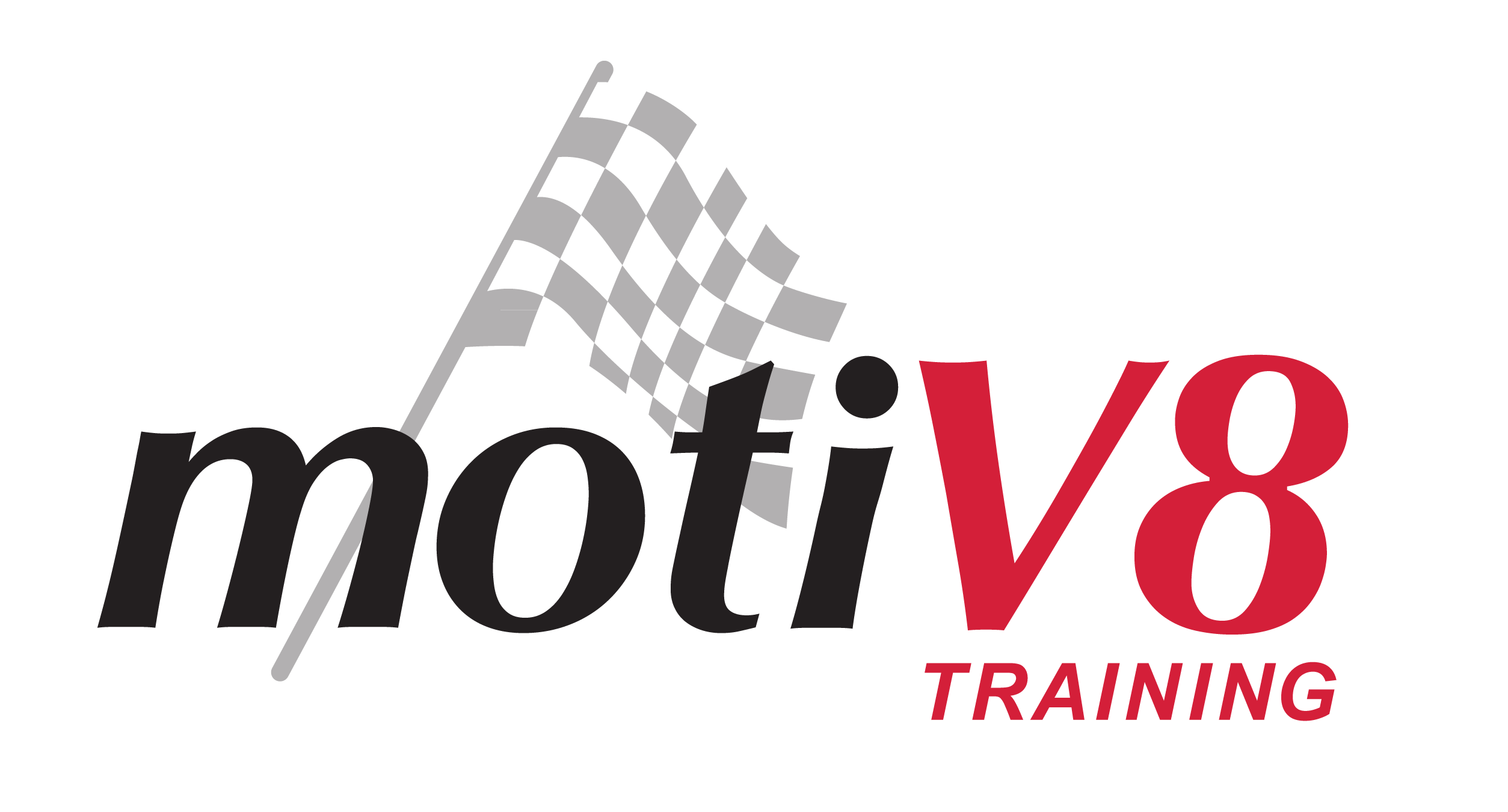 MotiV8 Training